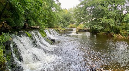 Lower Teign - Bridford, Newton Abbot