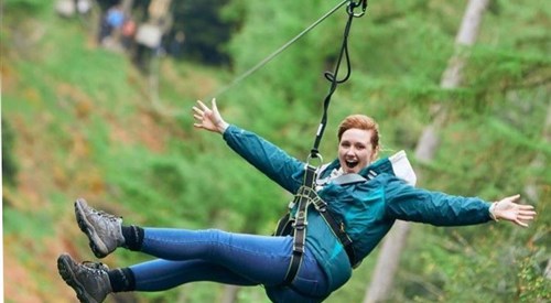 Go Ape Grizedale Forest, Ambleside 2