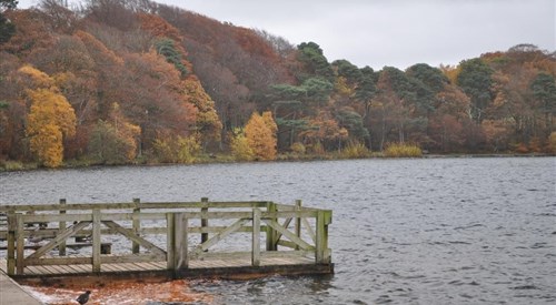String of Horses, Faugh 1