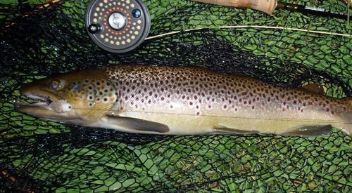 Glenlivet Inveravon Fishing, Avon 3
