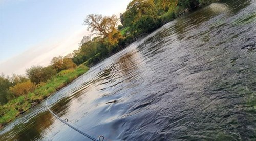 Blackwater Valley Fishery - Blackstone, Upper Blackwater 1