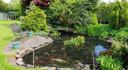 Stafford House Guest House, Penrith 3