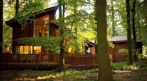 Go Ape Forest of Dean Mallards Pike, Lydney 3