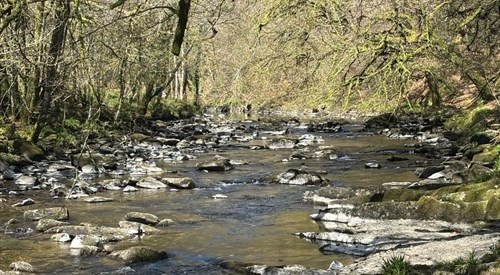 Tarr Steps, Exe & Barle 2