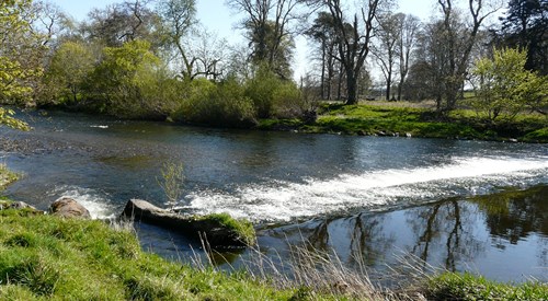 Monteviot, Teviot 1