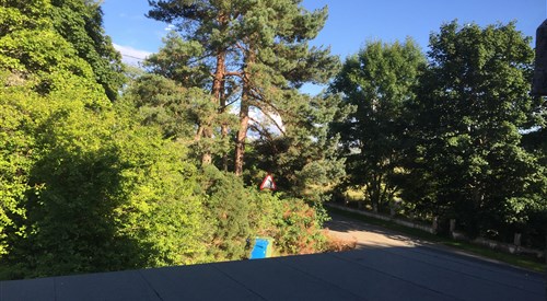 The Shandwick Inn, Easter Ross 3