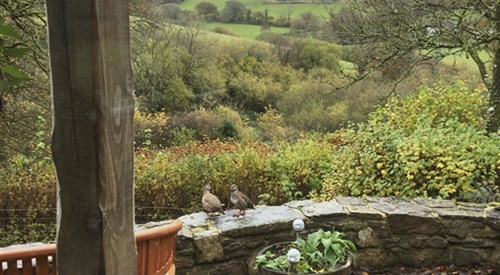 2 Lower Spire, Withypool 1