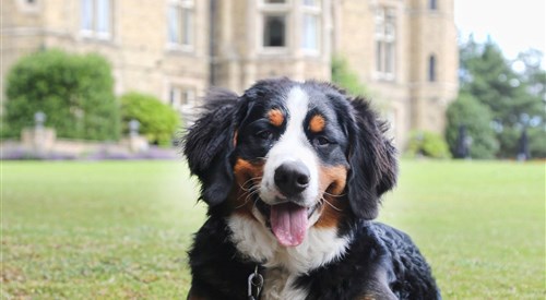 Cave Castle Hotel & Country Club, Hull 4