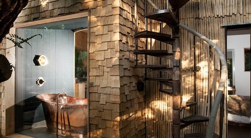 The Woodsman's Treehouse, Lyme Regis 4