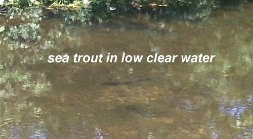 Upper Yealm, Devon - Cornwall - Somerset 3