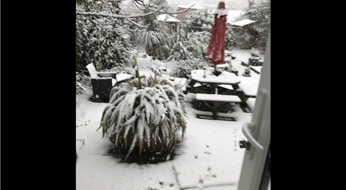 Gwynarth B&B, Wadebridge 4