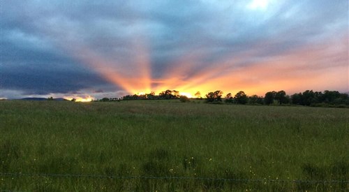 Ardoch Cottage Bed & Breakfast, Balloch