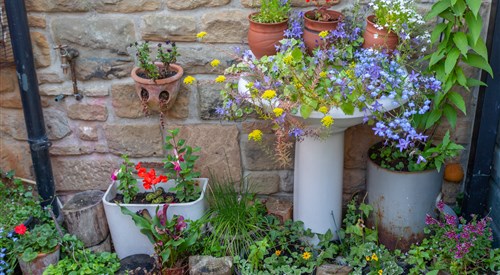 Shaftoes Guest House, Haydon Bridge