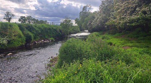 Ballymoney Burn 4