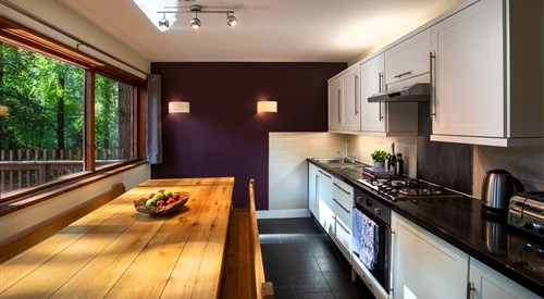 Treehouse Breaks at Forest Holidays, Forest of Dean, Coleford 1
