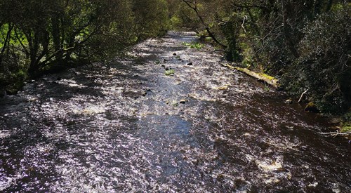 Ballinderry River, Other Rivers 3
