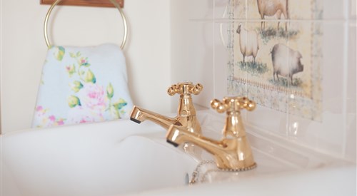 Frankaborough Farm Holiday Cottages, Ashwater 4