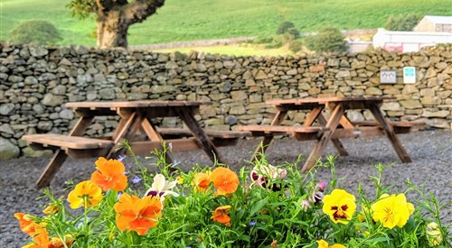 The Wayside and Whisky Barn, Millom