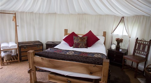 Woodland yurt (8), West Stoke 2