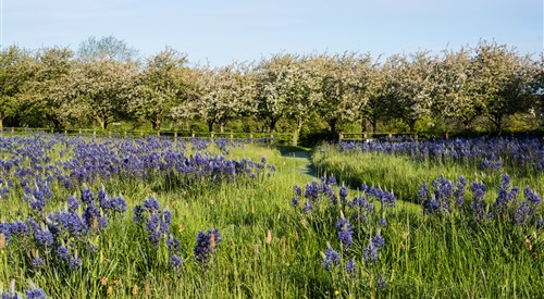 Yeo Valley Organic Garden, Blagdon 2