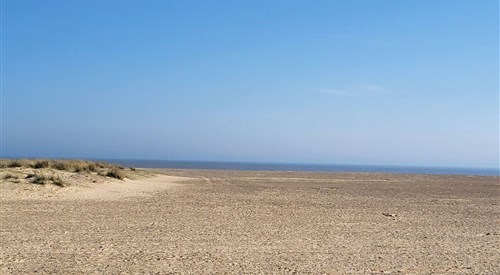 New Dawn, Great Yarmouth Beach
