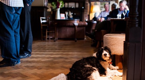 The Thomas Lord, Nr Petersfield 4