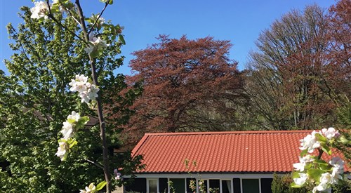 The Burnside, Blanchland 1