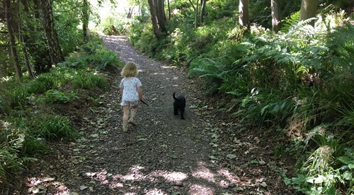 Broomhills Farm River Eco Pods, Longtown 1