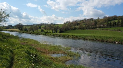 Blackwater Valley Fishery - Ballygarret, Upper Blackwater 2