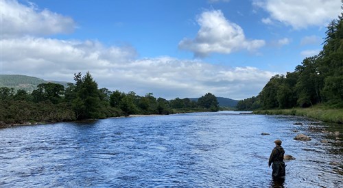 Glenmuick, Dee 2