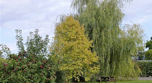 The Willows Accommodation, Wincanton 2