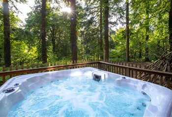 Treehouse Breaks at Forest Holidays, Forest of Dean photo 5