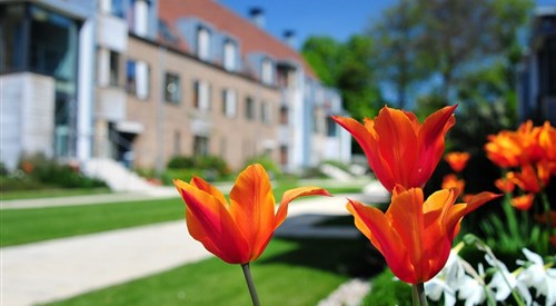 Wychfield (Trinity Hall), Cambridge 3