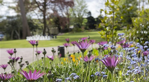 Cardigan Castle, Cardigan 2