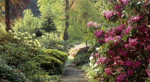 Colby Woodland Garden, Narberth 4