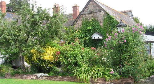Steps Farmhouse, Watchet