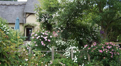 Thatched Cottage B&B, Edenbridge 2