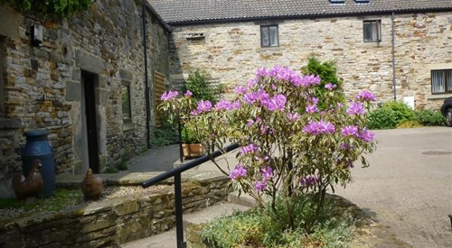 Rye Hill Farm, Corbridge 3