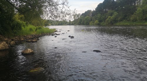 Movanagher, Lower Bann