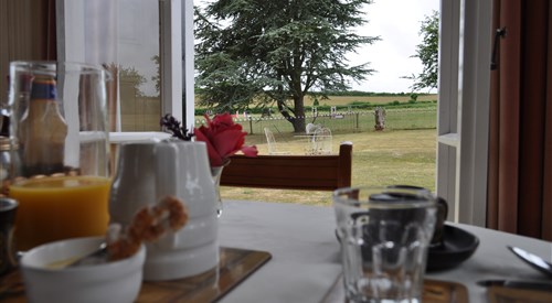 Lower Bryanston Farm, Blandford Forum 4