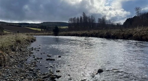 Semeil Farm, Don 3