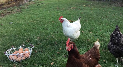 The Burnside, Blanchland 3