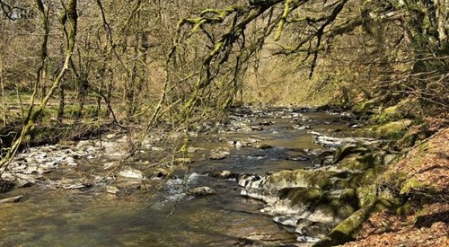 Tarr Steps, Exe & Barle 1