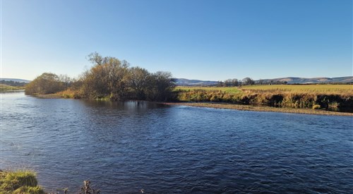 Kemnay Angling Club, Don 3