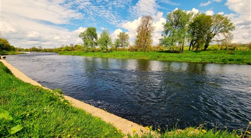 Careysville Fishery, Blackwater 4