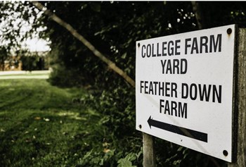 Feather Down College Farm photo 3