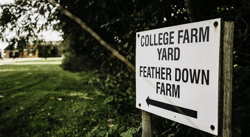 Feather Down College Farm, Beccles 4
