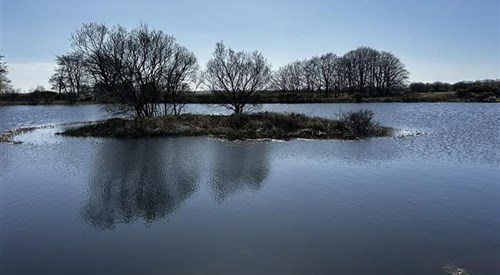 Bradley Pond, Lakes 3