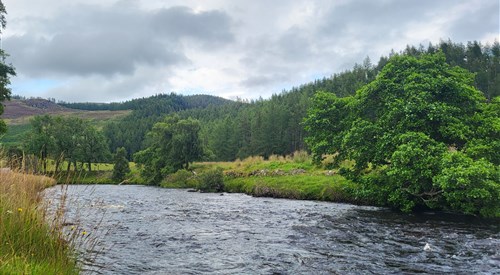 Rhiedorrach Estate, Ericht/Isla/Shee