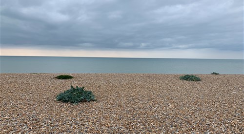 Beach Hut 53, Bexhill Beach, Bexhill-on-Sea 3